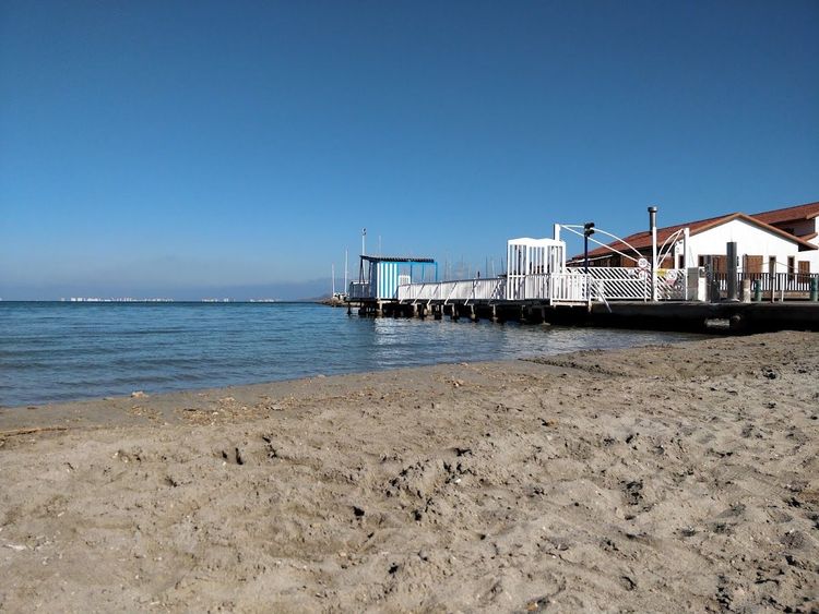 Beach Carrion