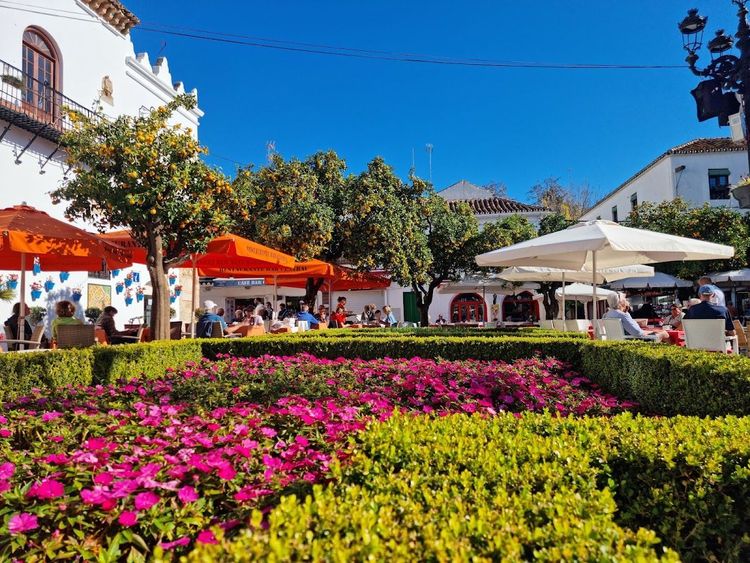 Cafes and gardens