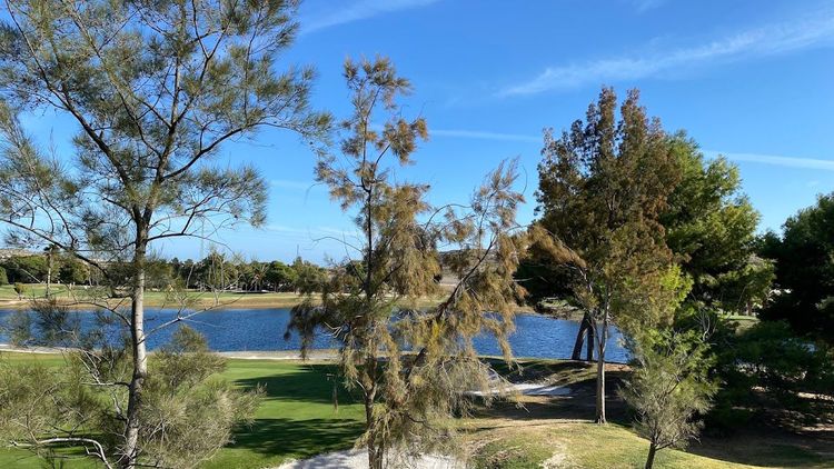 Campo Golf