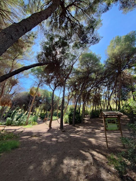 Campoamor Dog walking park