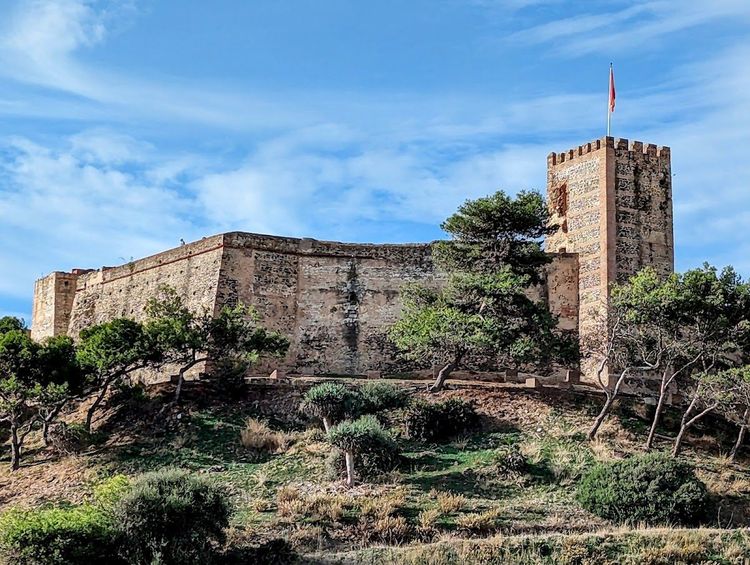Castillo Sohail