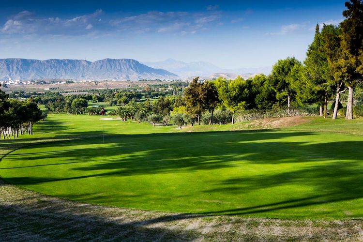 Club De Golf El Plantio