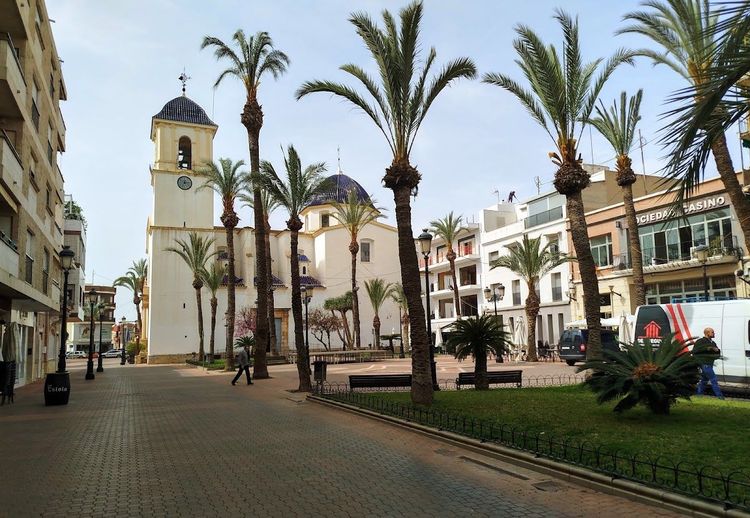 Dolores / Alicante