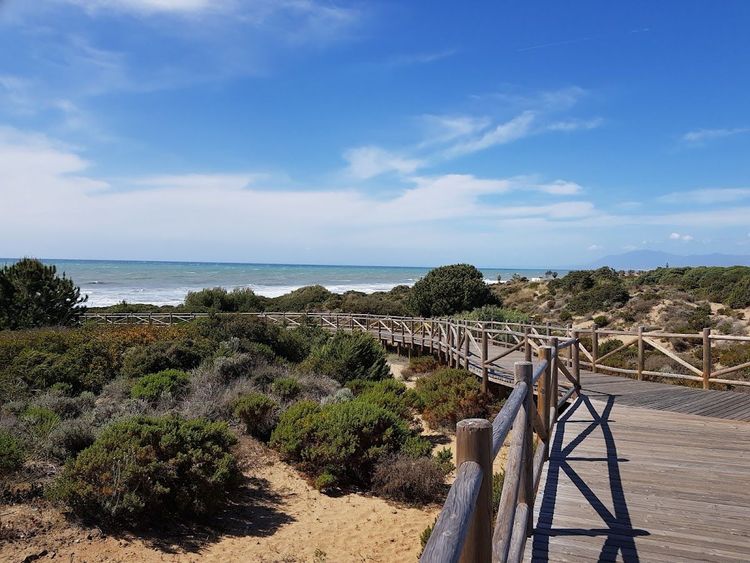 Dunas de Artola o Cabopino