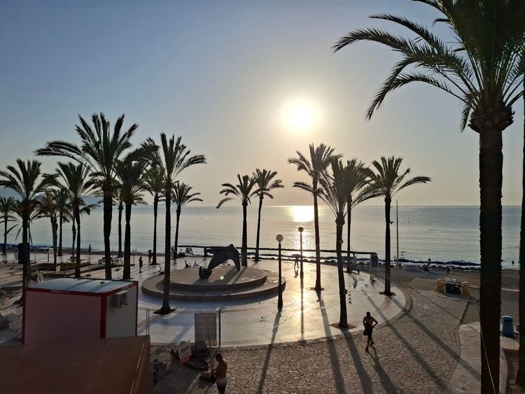 El Albir