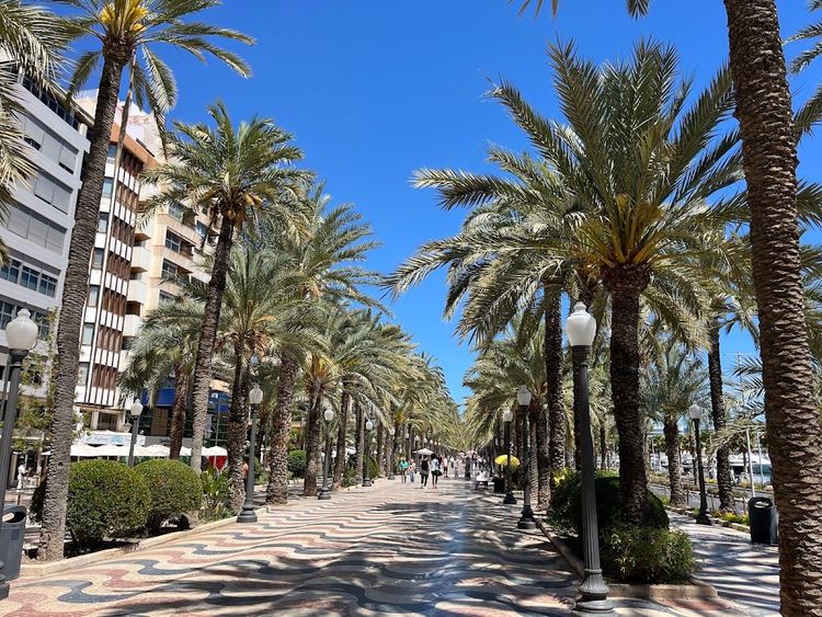 Explanada of Spain - Alicante