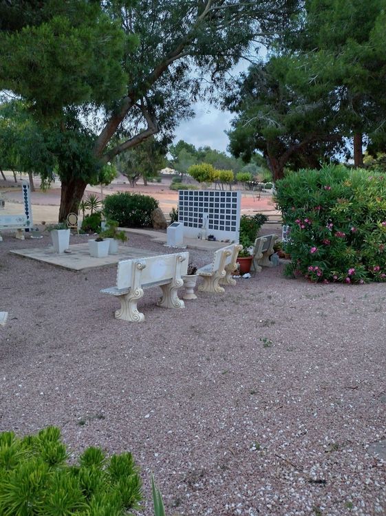 Garden Of Reflection