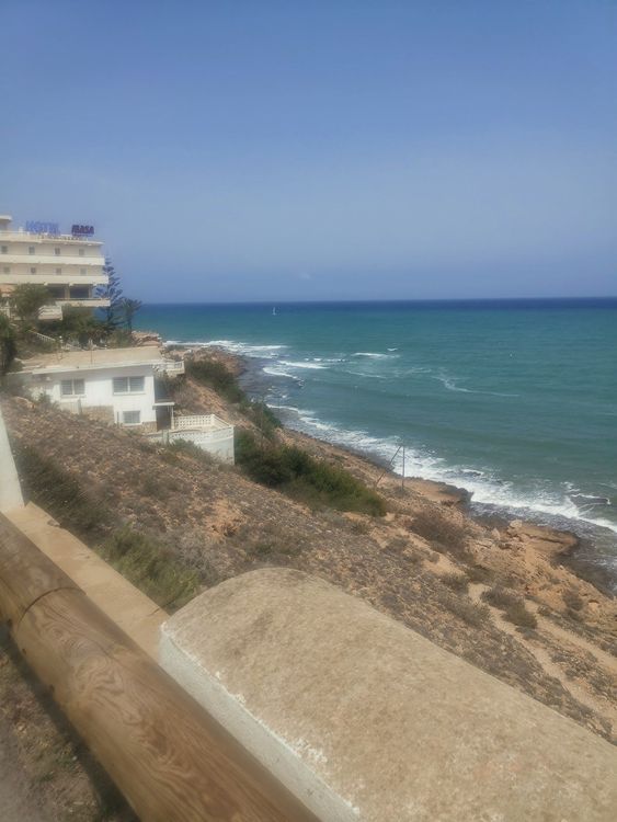La mata