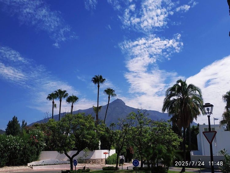 Los Naranjos Country Club