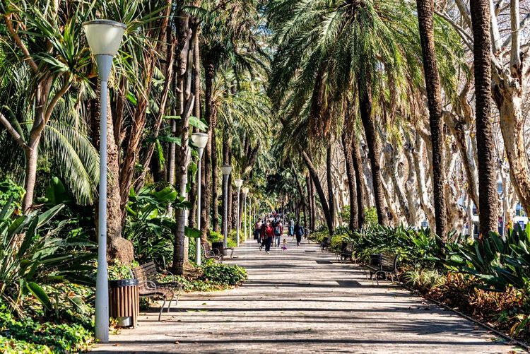 Málaga Park