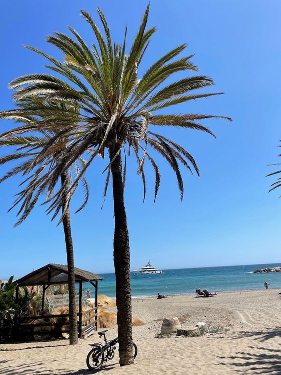 Marbella Yacht S.A.