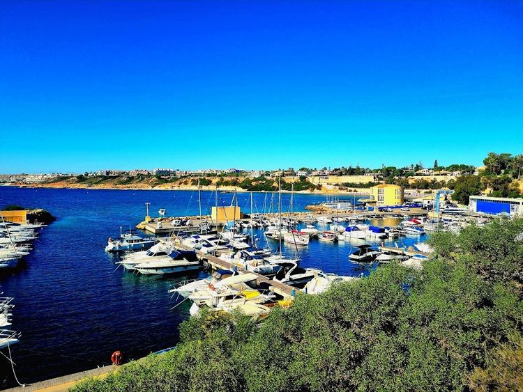 Marina Cabo Roig