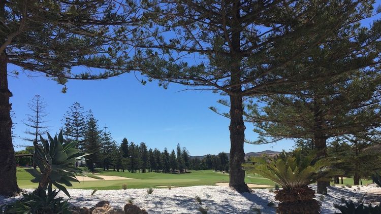 Mijas Golf International SAU - MIJAS GOLF CLUB