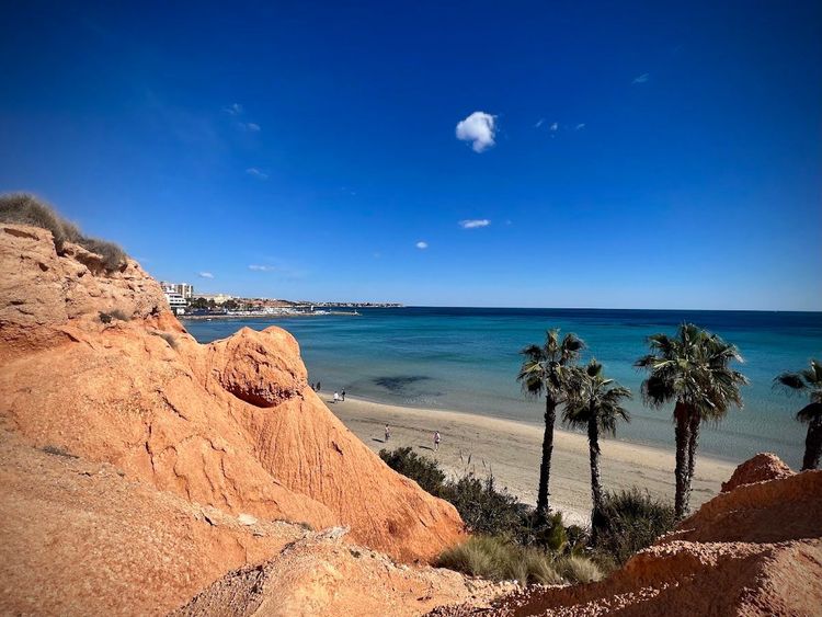 Mil Palmeras / Playa Vistamar