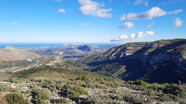 Mirador del Pla d'en Moragues