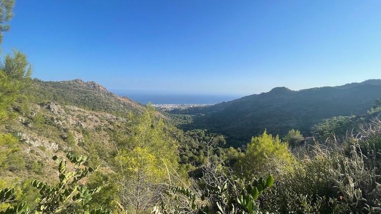 Mirador del Puerto del Acebuche