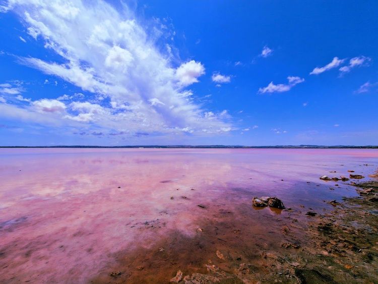 Mirador Salinas de Torrevieja