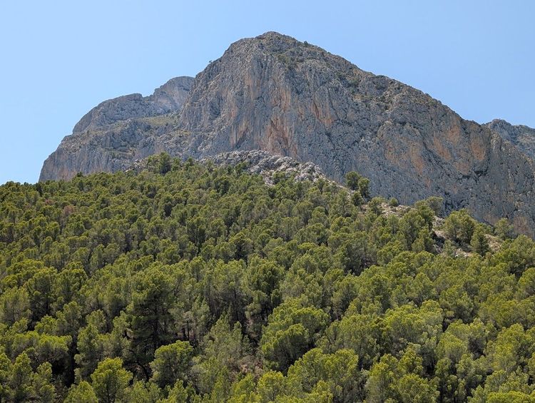 Monte Leon Dormido Polop de la Marina