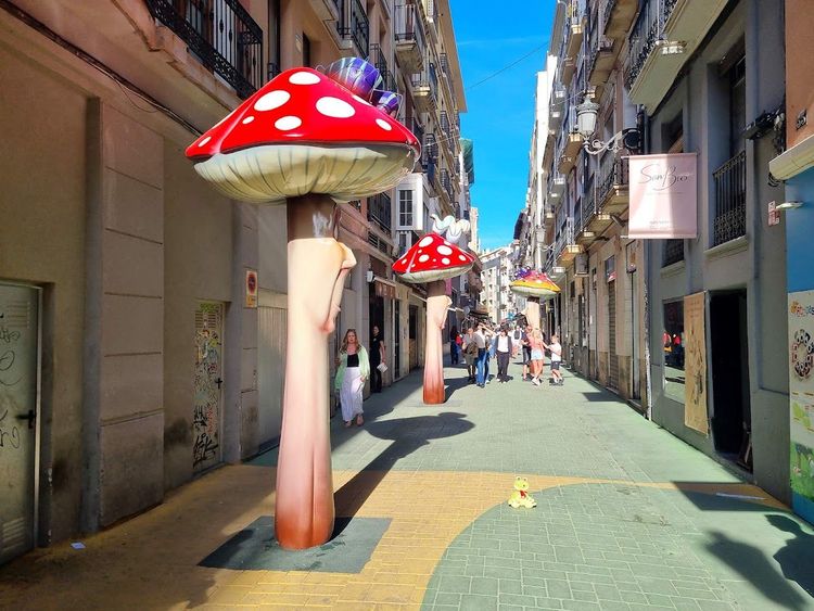 Mushroom Street