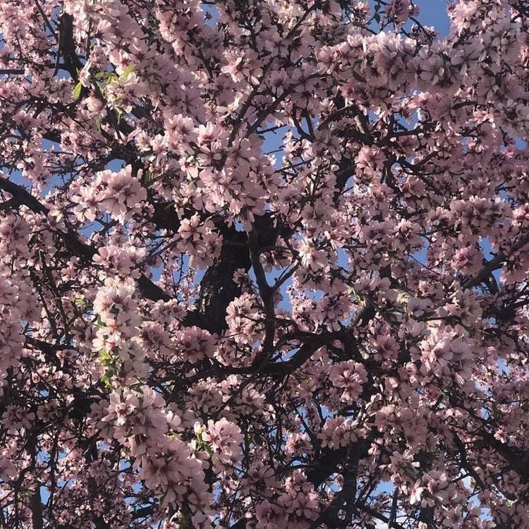 Ntra. Sra. de Fátima Park