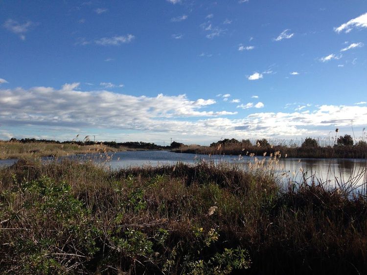 Paraje Natural Lagunas de Lo Monte