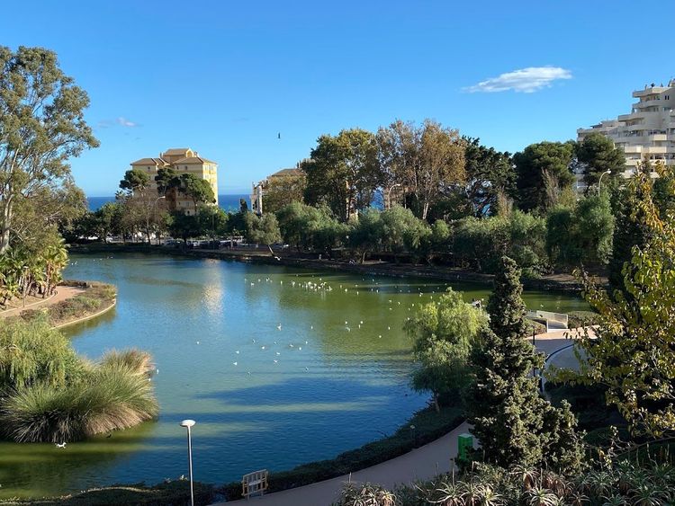 Parque de la Paloma