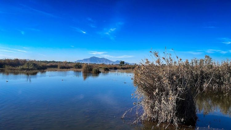Parque Natural el Hondo