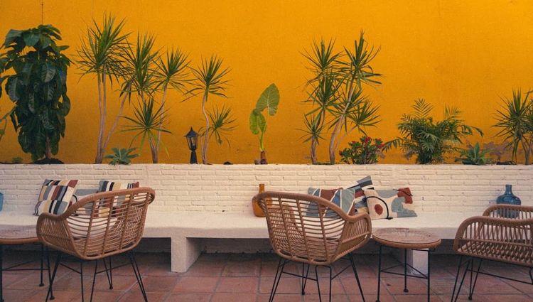 Patio - Drinks & Food