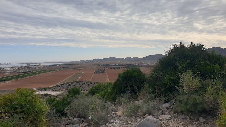 Pico del Mingote