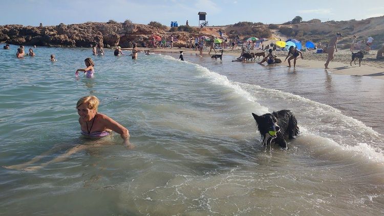 Playa autorizada para perros