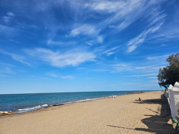 playa calamar