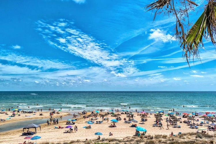 Playa de la Mil Palmeras