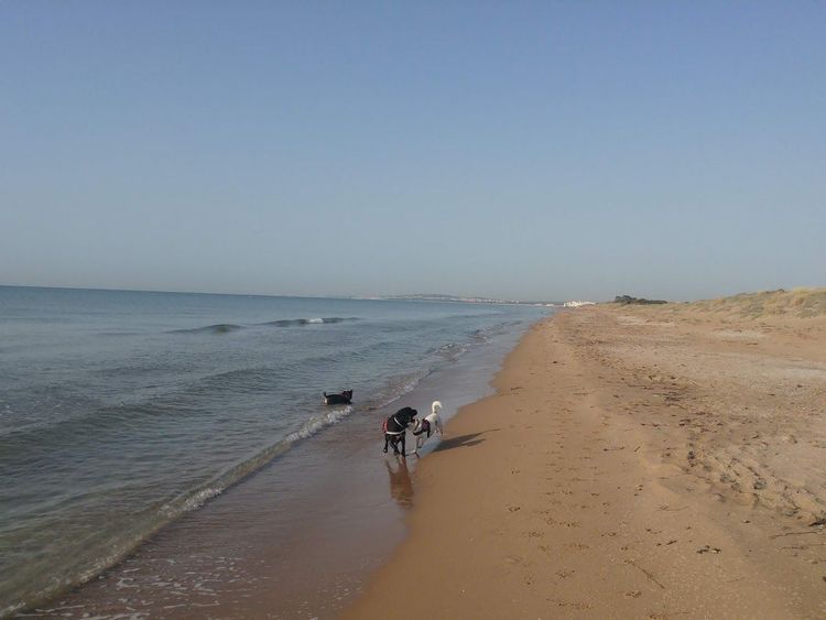 Playa del Pinet