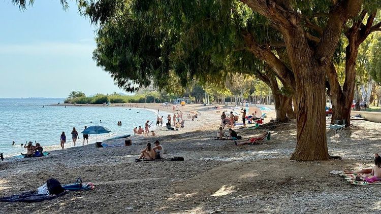 Playa del torres