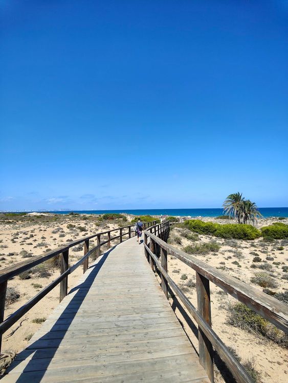 Playa Elche