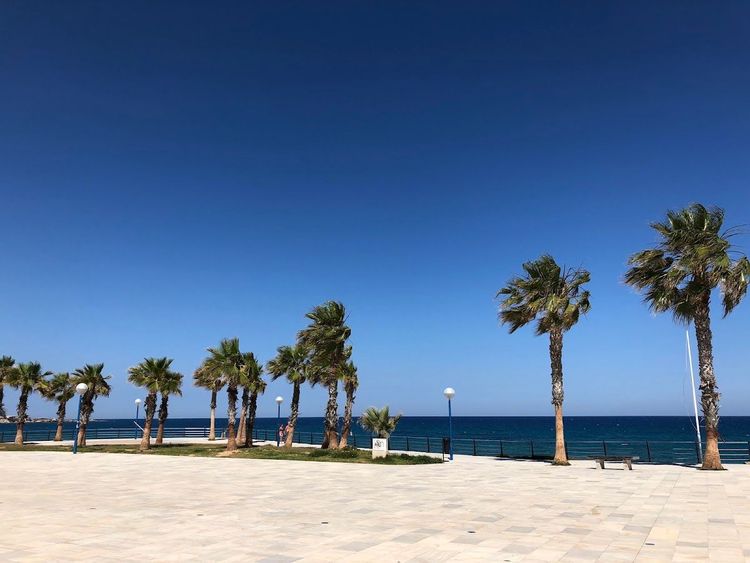 Playa Flamenca