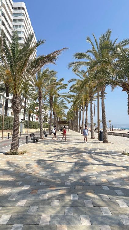 Playa san Juan