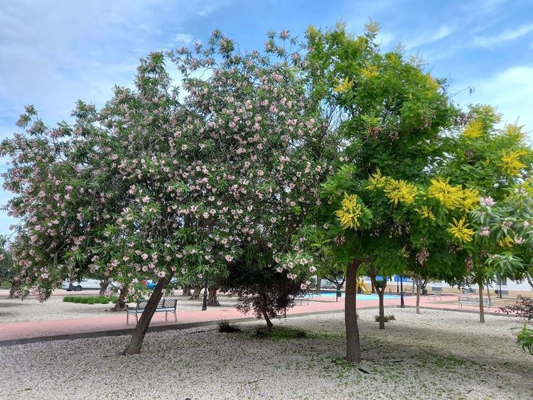 Plaza de la Amistad