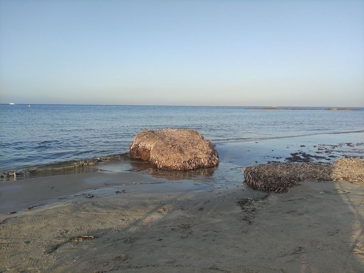 Punta de las Algas