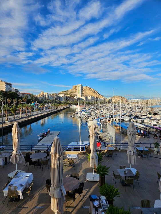 Real Club de Regatas de Alicante