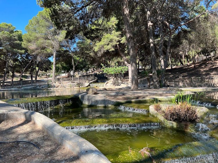 Reina Sofía Park