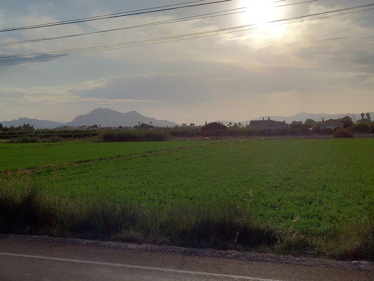Vereda el rincón