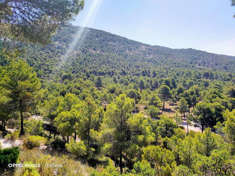 Xorret Del Cati
