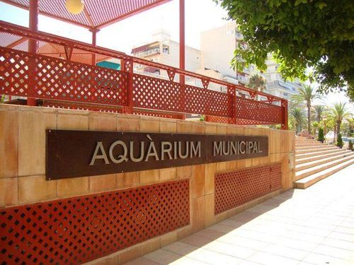 Aquarium (Museo del Mar de Santa Pola)