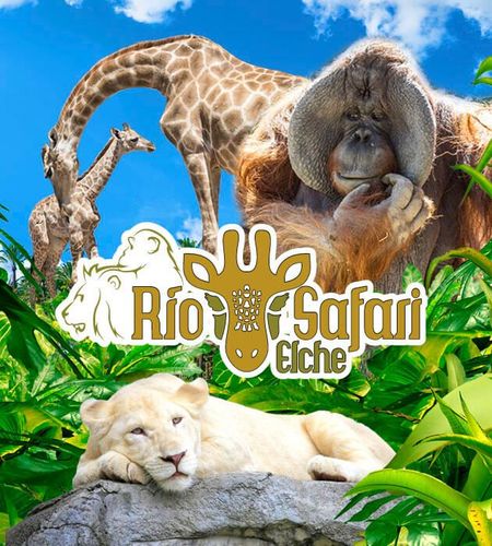 Rio Safari Elx