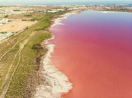 Salinas de Torrevieja