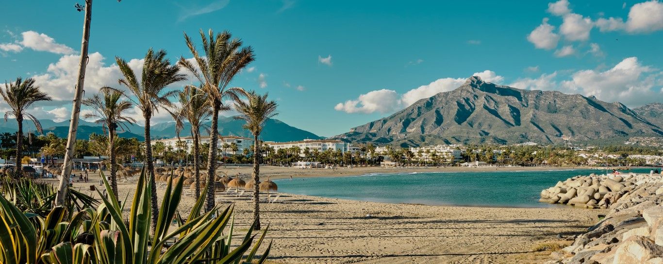 Alamo Costa del Sol